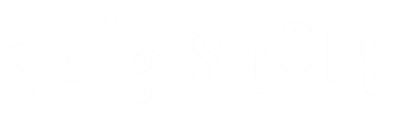 Partner sponsor
